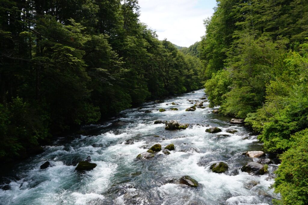 waterfall and river in conguillio national park