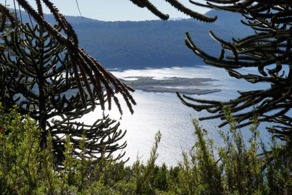 shiny lake of the national park conguillio