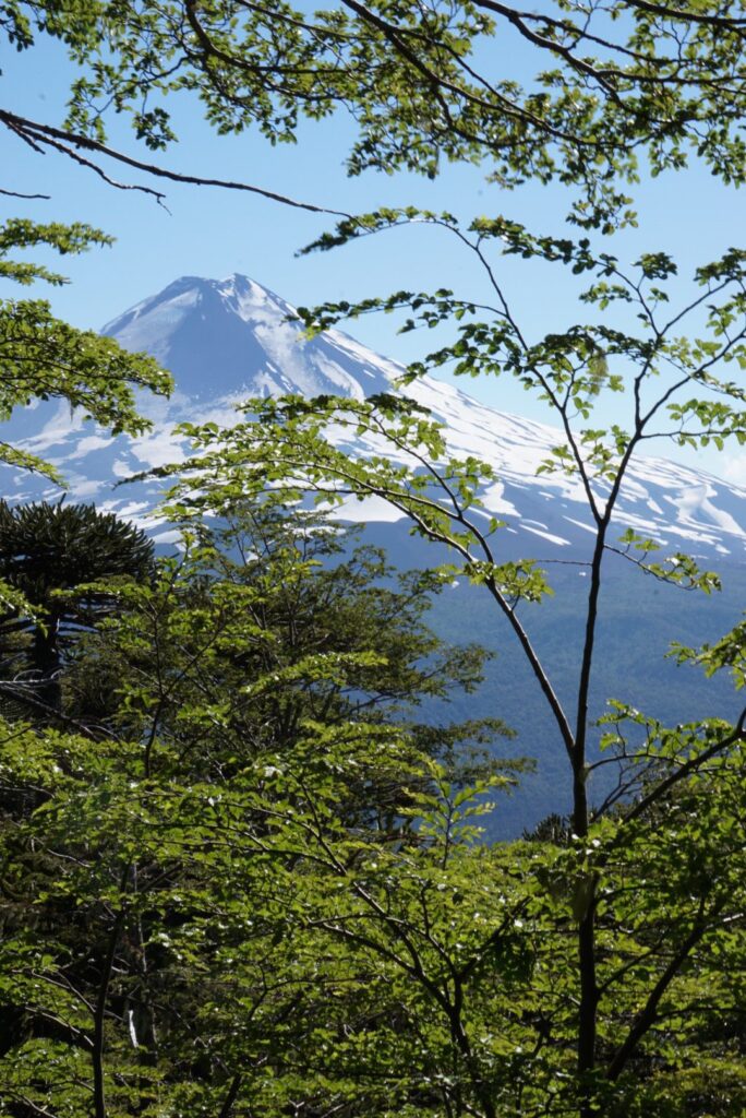 volcan llaima from a viewpoint