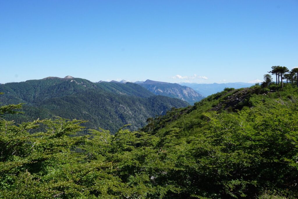 conguillio national park viewpoint