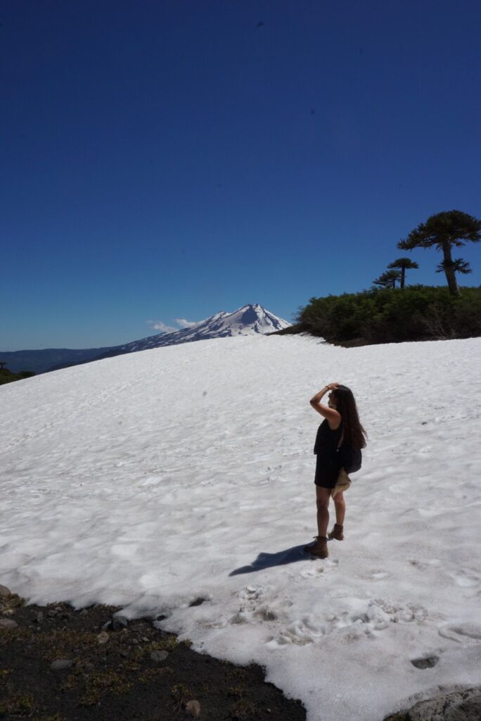 snow at the conguillio national park