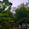 Chalet in the atlantic forest