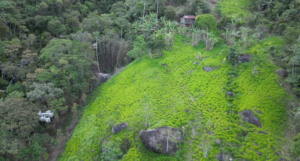 Mountain ranch in Casimiro de Abreu