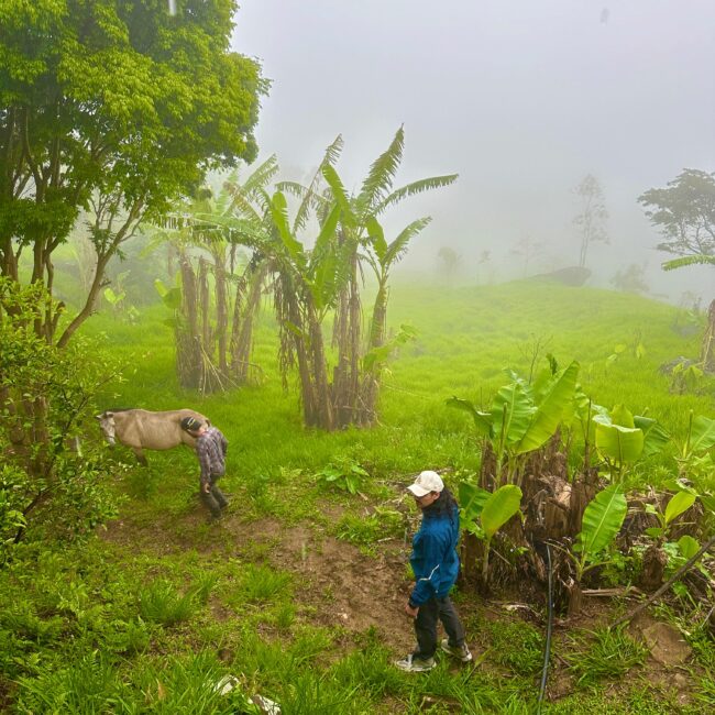 two persons in the atlantic forest of brazil