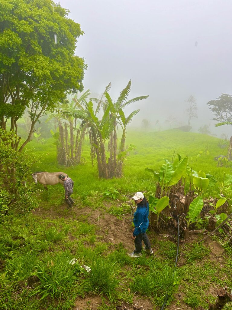 two persons in the atlantic forest of brazil